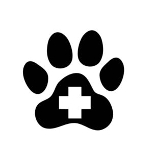 Dog Health