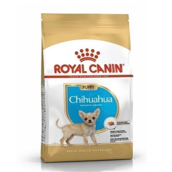 Royal chihuahua puppy 1.5kg