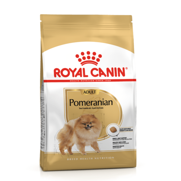 Royal pomeranian 1.5kg