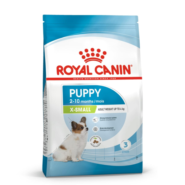 Royal x small puppy 1.5kg