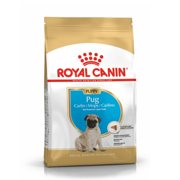 Royal pug puppy 1.5kg