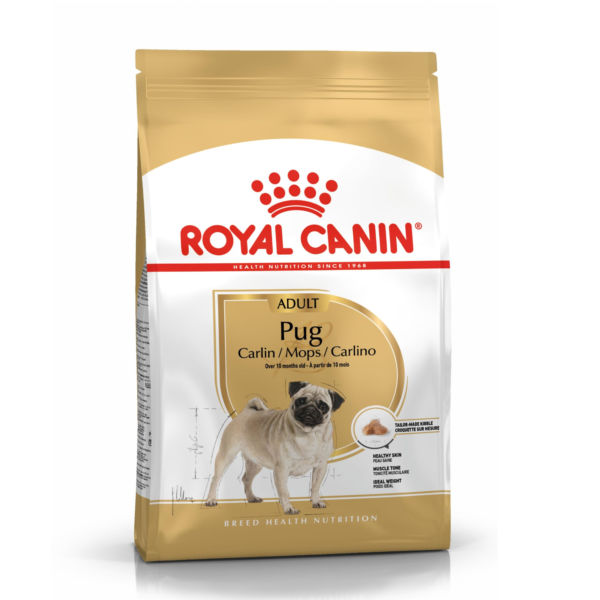 Royal pug adult 1.5kg