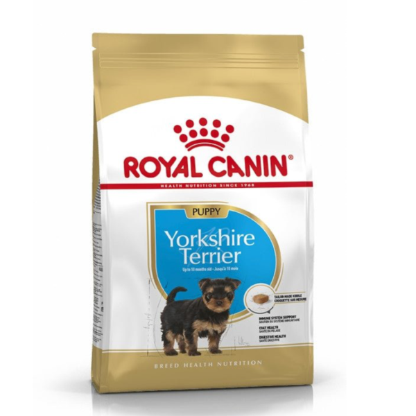 Royal yorkshire terrier puppy 1.5kg